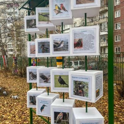 Оригинальные уличные стенды для школы в Томске