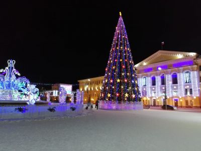 Новогодняя елка на Новособорной