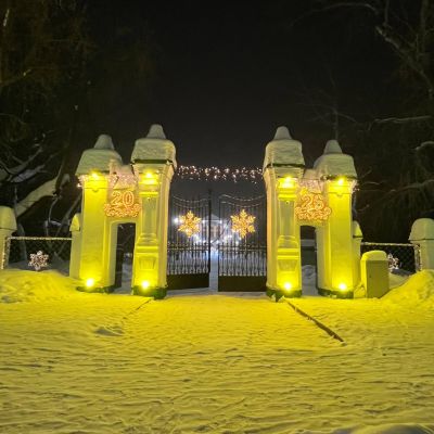 Новогоднее оформление ворот ТГУ